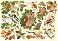 Woodland Birds Puzzel 500 XL stukjes - thumbnail