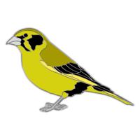 Speldje groenling - thumbnail