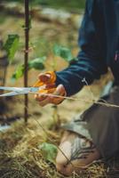 Fiskars Classic Universele Schaar | 21 cm - 1075033 - thumbnail