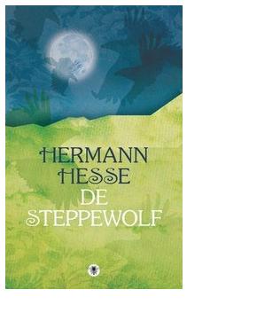 De steppewolf - Hermann Hesse - ebook