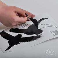 Gardigo Birdprotection Raamsticker Functies: Afschrikking 5 stuk(s) - thumbnail