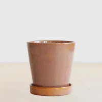 Zaragoza - Bruin - P12 - thumbnail