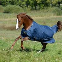 Deken Bucas Irish Turnout Light 50gr Pony, 160 cm in donkerblauw/goud - thumbnail