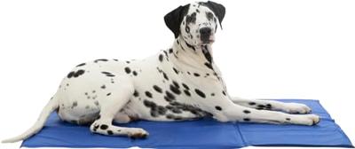 Trixie koelmat blauw