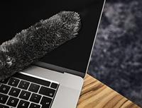 AEG Duster AZE146 Stofzuiger accessoire Grijs - thumbnail