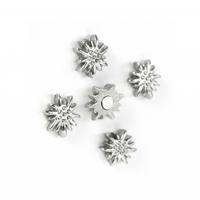 Trendform Magnet Edelweiss - set van 5 - thumbnail