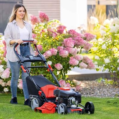 Scheppach MS225-53E Grasmaaier | Zelfaan. | E-Start - 5911245903 Scheppach MS225-53E Grasmaaier | Zelfaan. | E-Start - 5911245903