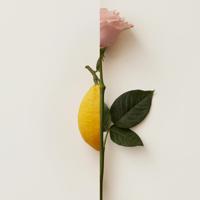 Burberry My Burberry Blush Eau de Parfum 30ml - thumbnail