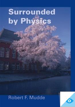 Surrounded by physics - R.F. Mudde - eBook (9789065621924)