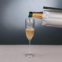 Metaltex Fleskoeler voor Flessen tot 2L Zilver - thumbnail