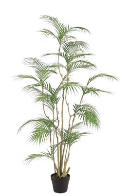 Tropische Areca-palm kunstplant 160 cm