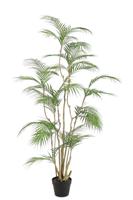 Tropische Areca-palm kunstplant 160 cm - thumbnail