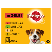 Pedigree multipack maaltijdzakjes favourites in gelei - thumbnail