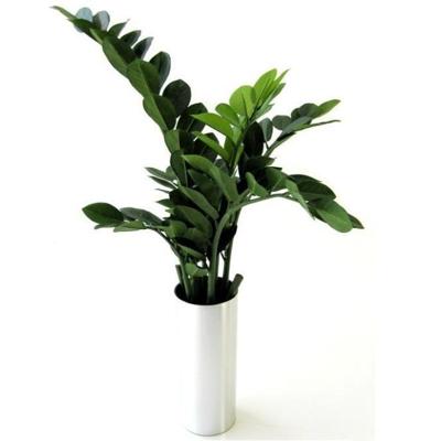 Zamioculcas kunstplant 65cm