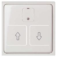 ELSO centrale plaat 367254 elektr. Rolluikschakelaar JOY rw 1 stuk(s)