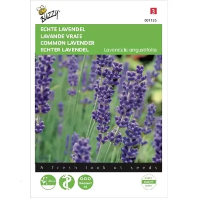 Buzzy® Echte Lavendel Zaden