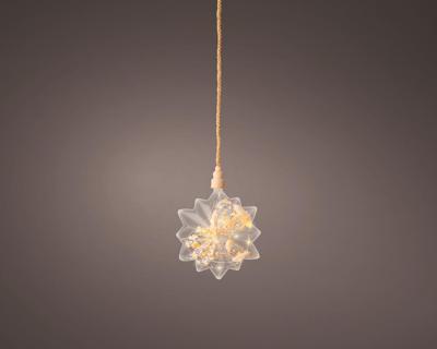 Micro Led Ster met droogbloemen Ø 19cm