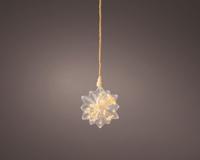 Micro Led Ster met droogbloemen Ø 19cm - thumbnail