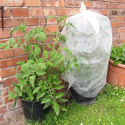 Connex Tomatenbescherming Geperforeerd - FLOR80250