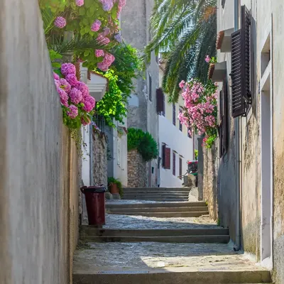 Alexsar Art Tuinschilderij dorp trede 70x70cm