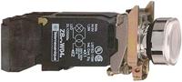 Schneider Electric XB4BW3135 XB4BW3135 Verlichte druktoets 600 V 6 A Moment (l x b x h) 101 x 30 x 47 mm IP66, IP67, IP69, IP69K 1 stuk(s) - thumbnail