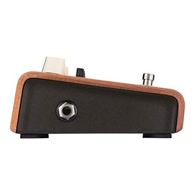 LR Baggs Align Series Equalizer