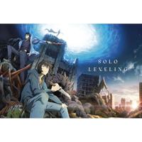 Poster Solo Leveling - Season 1 91,5x61cm - thumbnail