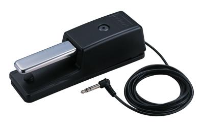 Roland DP-10 Roland DP-10