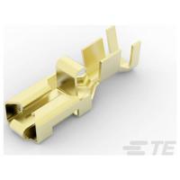 TE Connectivity 170234-2 Platte stekker (female) 1500 stuk(s) Tape on Full reel - thumbnail