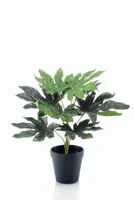 Kunstplant Fatsia in pot - 30cm - thumbnail