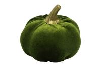 Pompoen pumpa 8 cm groen - thumbnail