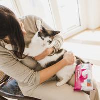 Vochtige Doekjes voor Huisdieren Inodorina 40 Stuks - thumbnail