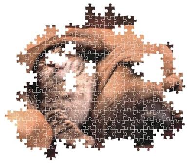 Clementoni legpuzzel hond en kat, 500st.
