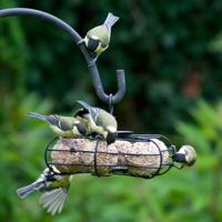 Vivara Vetbolcarrousel Zwart - thumbnail