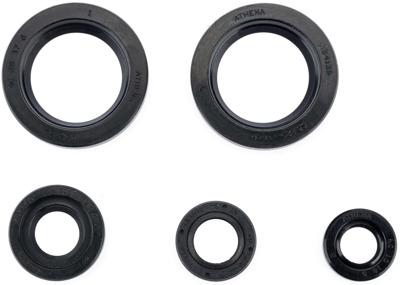 ATHENA motorsimmerringsatz motorshield ktm