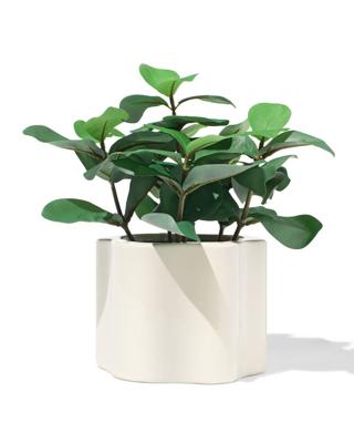 HEMA Bloempot 17.9x12.5x13.6cm Keramiek Golvend Crème (creme)