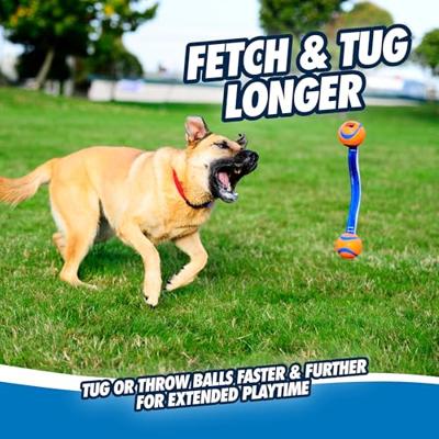 Chuckit! Ultra Duo Tug M