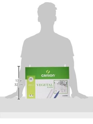 Plantaardig papier Canson Basik 250 Lakens 90 g/m² 29,7 x 42 cm