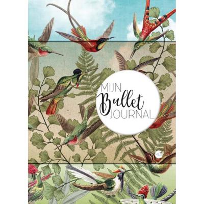 Mijn Bullet Journal (Paperback)