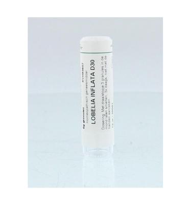 Homeoden Heel Lobelia inflata D30 6 Gram