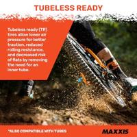 Schwalbe Maxxis buitenband aggressor exo tr 29 x 2.30 zw vouw - thumbnail