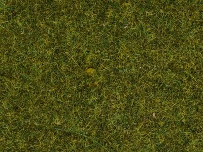 NOCH 0008361 Strooigras Weide 4 mm, 20 g