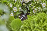 Gardena Buishouder - thumbnail