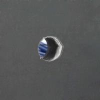VidaXL Vee borstels rood en blauw 50 x 10 x 6.5 cm kunststof en staal - thumbnail
