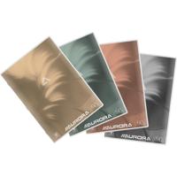 Aurora verslagschrift Writing 90 , geniet, commercieel geruit + blauwe marge, 72 blz, ft 21 x 29,7 cm - thumbnail