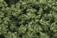 Woodland Scenics WFC682 Bladmateriaal Lichtgroen - thumbnail