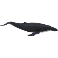 Mojo sealife bultrug 387119 - thumbnail