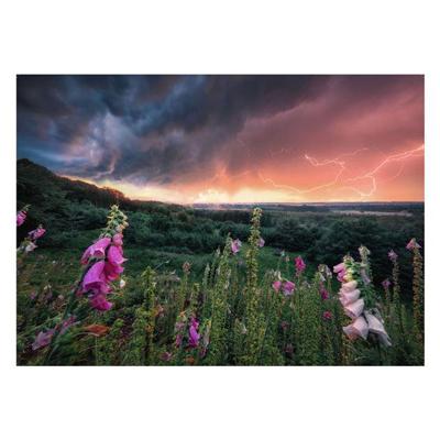 Ravensburger puzzel Dreamy Thunder 1000 stukjes Ravensburger puzzel Dreamy Thunder 1000 stukjes