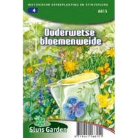 Ouderwetse Bloemenweide - thumbnail