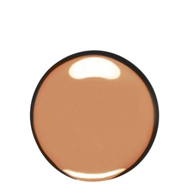 Clarins Skin Illusion Foundation Chestnut 30ml Clarins Skin Illusion Foundation Chestnut 30ml